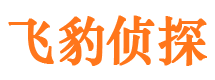 东乡族侦探